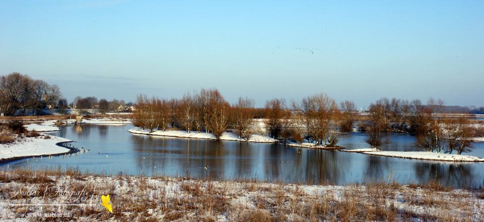 wetlands passewaaij tiel winter